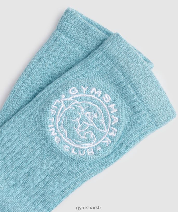 eski ekip çorapları 2pk 8H4J021088 Gymshark Aksesuarlar üniseks buzdağı mavisi/beyaz