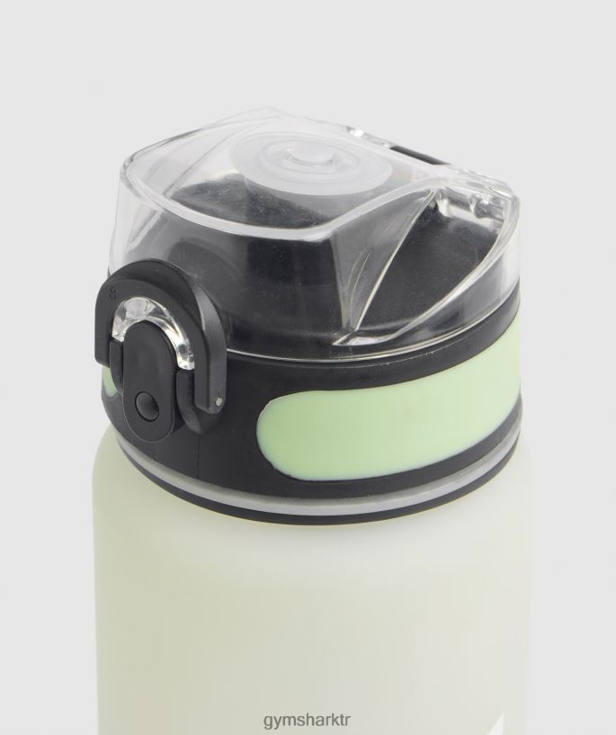 spor şişesi 8H4J021118 Gymshark Aksesuarlar üniseks flora yeşili/çöl adaçayı yeşili