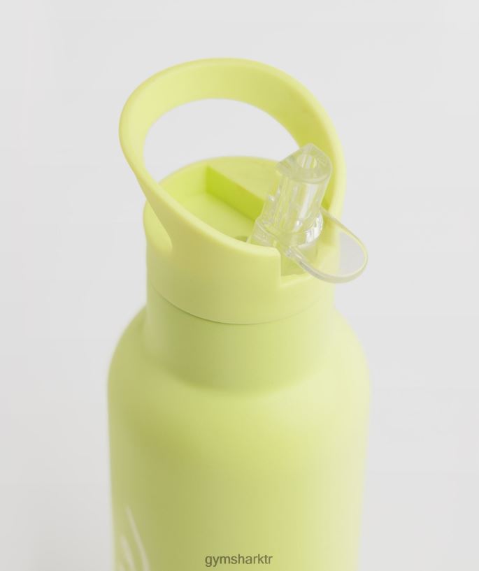 whitney saman şişesi 8H4J021119 Gymshark Aksesuarlar üniseks deniz yosunu yeşili