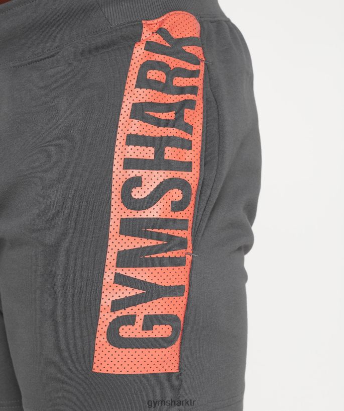 kalın şort 8H4J02532 Gymshark Giyim erkekler siluet gri