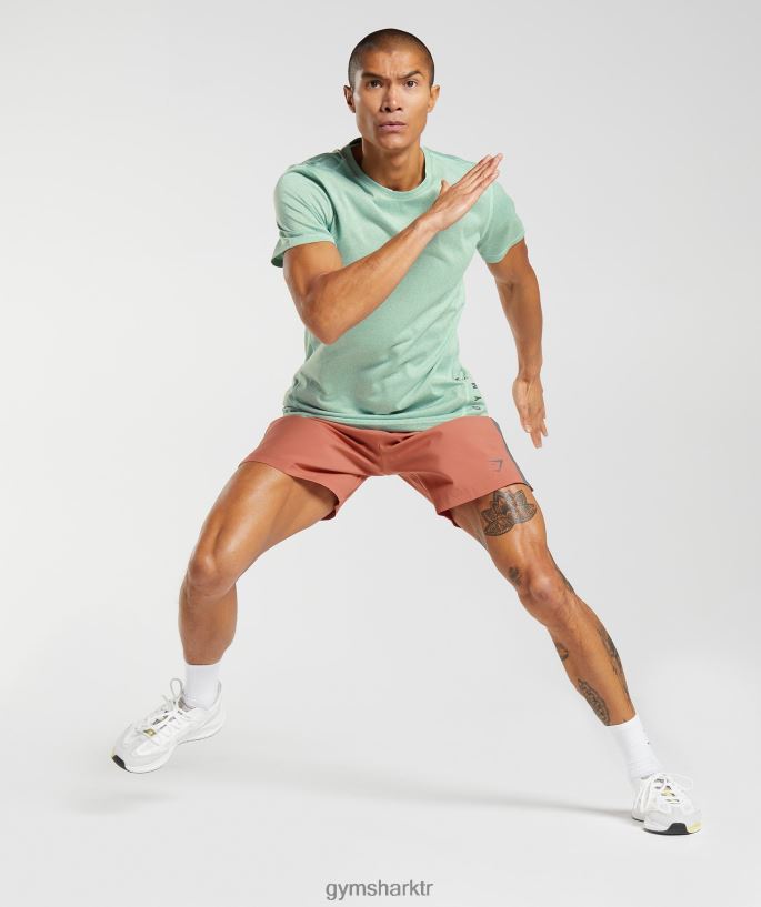 spor şort 8H4J02531 Gymshark Giyim erkekler Trabzon hurması kırmızısı/siluet grisi