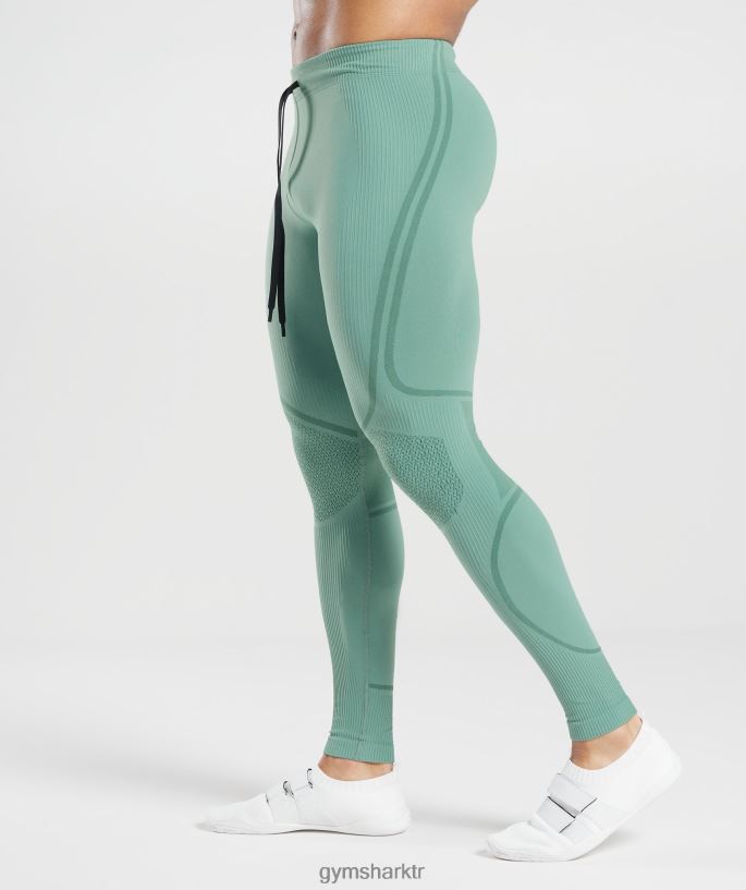 315 dikişsiz tayt 8H4J021030 Gymshark Giyim erkekler mürekkep deniz mavisi/mücevher yeşili