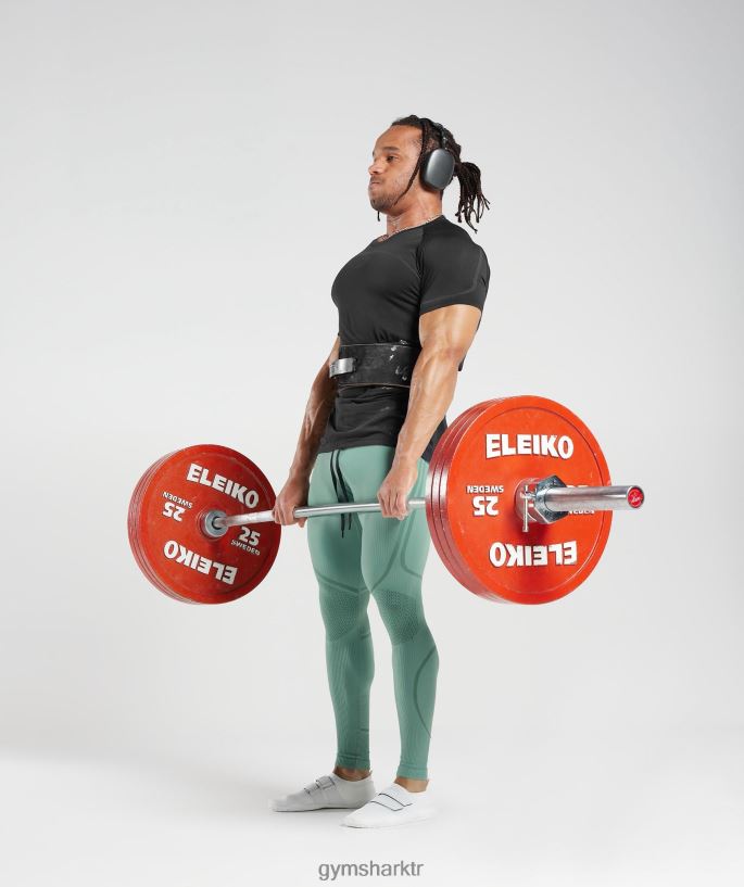 315 dikişsiz tayt 8H4J021030 Gymshark Giyim erkekler mürekkep deniz mavisi/mücevher yeşili