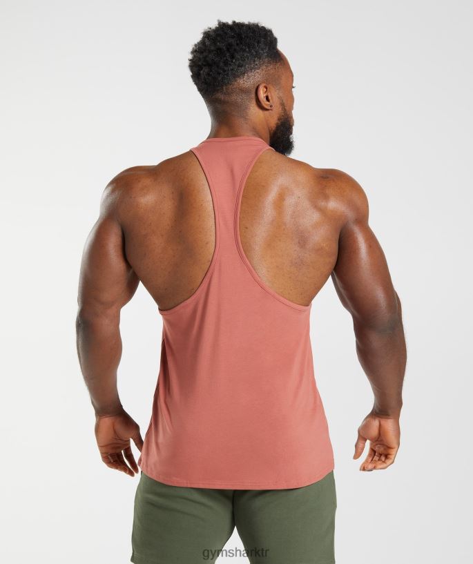 apollo kirişi 8H4J021000 Gymshark Giyim erkekler hurma kırmızısı