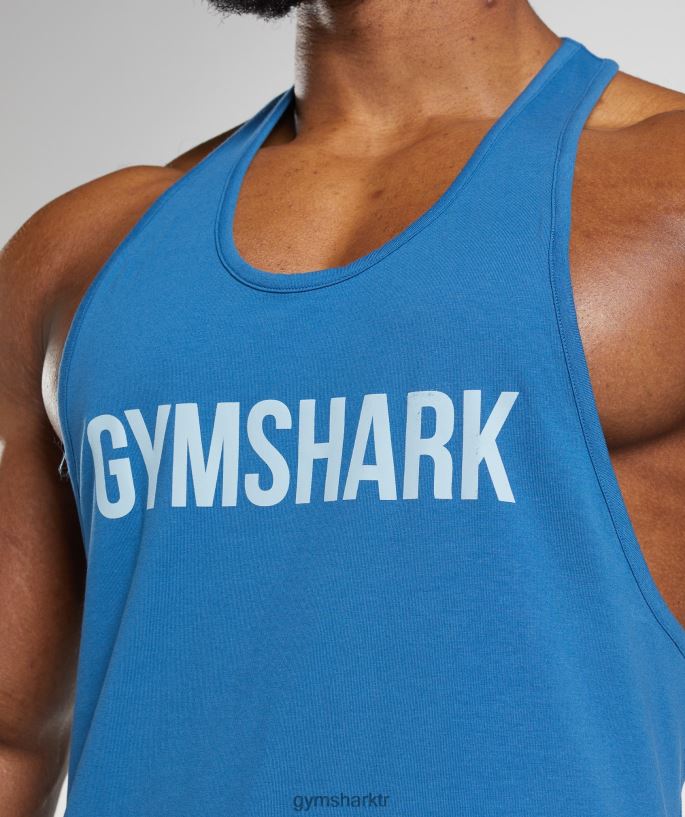 apollo kirişi 8H4J02978 Gymshark Giyim erkekler göl kenarı mavisi