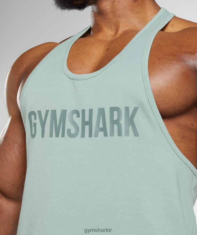 apollo kirişi 8H4J02996 Gymshark Giyim erkekler çöl adaçayı yeşili