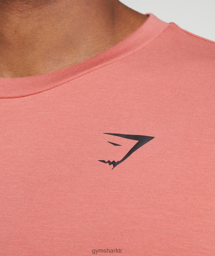 Essential büyük beden tişört 8H4J02569 Gymshark Giyim erkekler pişmiş toprak pembe