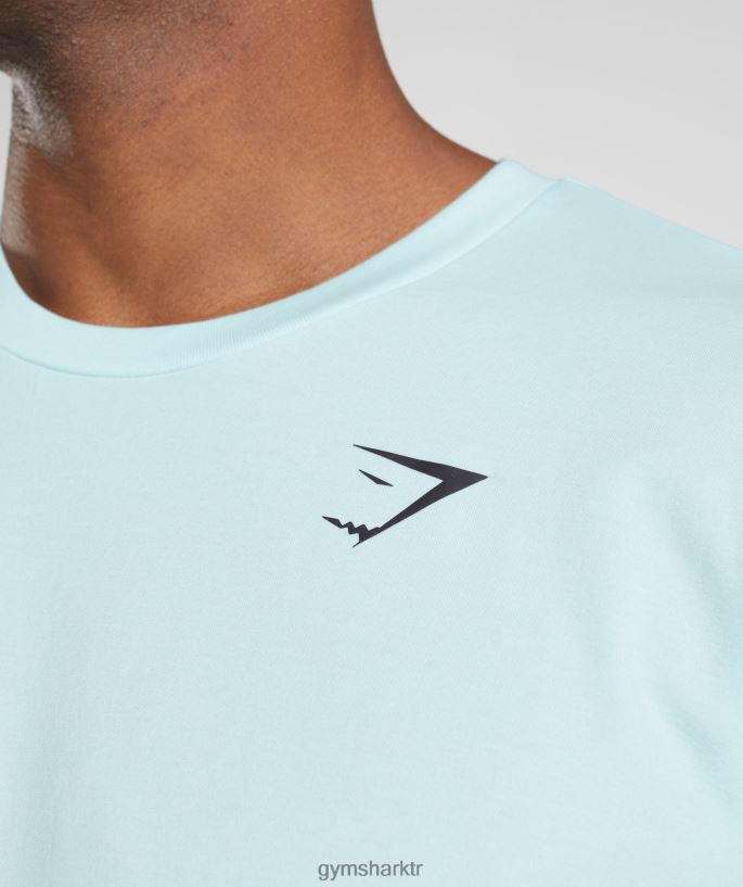 Essential büyük beden tişört 8H4J02591 Gymshark Giyim erkekler buzlu mavi