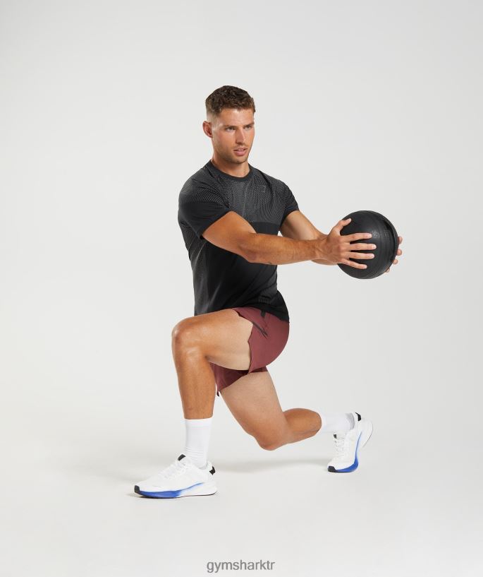 apeks dikişsiz t-shirt 8H4J02633 Gymshark Giyim erkekler siyah/siluet grisi