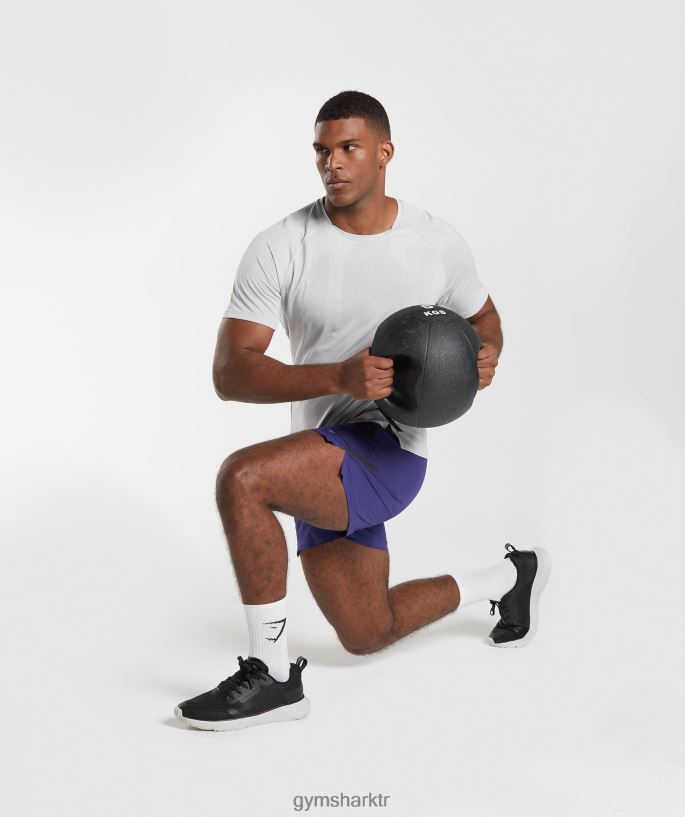 apeks tişört 8H4J02592 Gymshark Giyim erkekler açık gri/beyaz