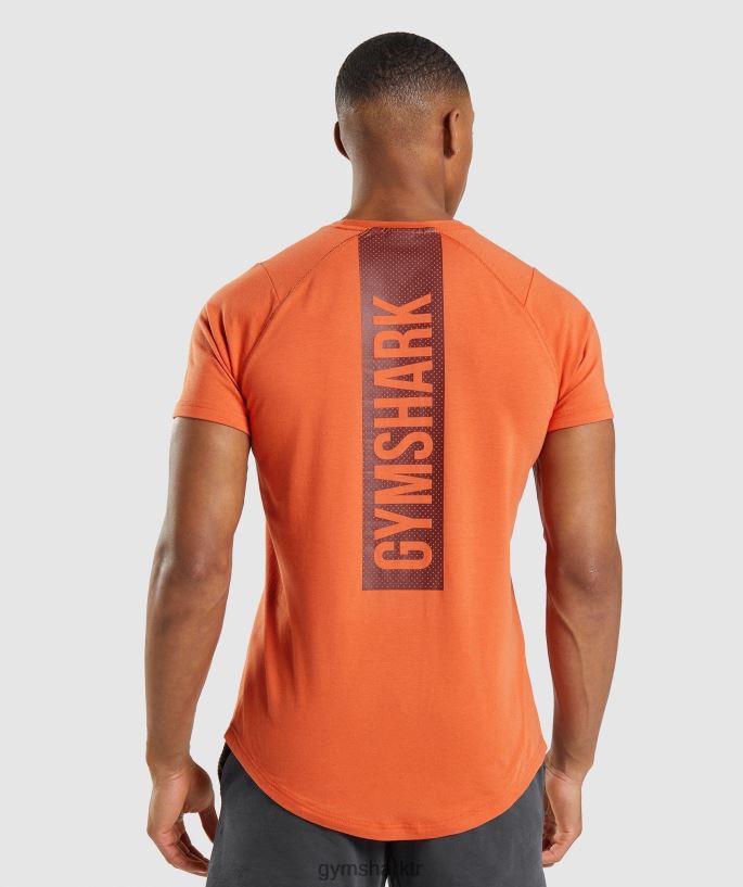 cesur tişört 8H4J02695 Gymshark Giyim erkekler kil portakalı