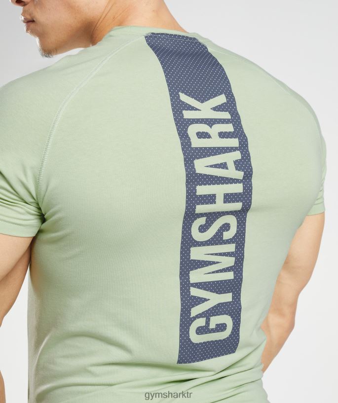 cesur tişört 8H4J02729 Gymshark Giyim erkekler bitki örtüsü yeşili