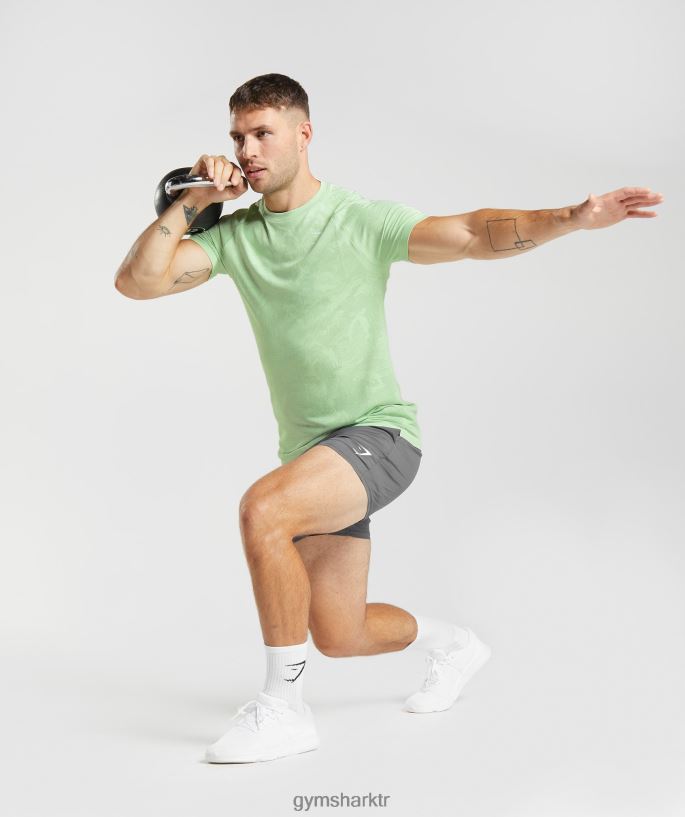 coğrafi dikişsiz tişört 8H4J02609 Gymshark Giyim erkekler aloe yeşili/çay yeşili