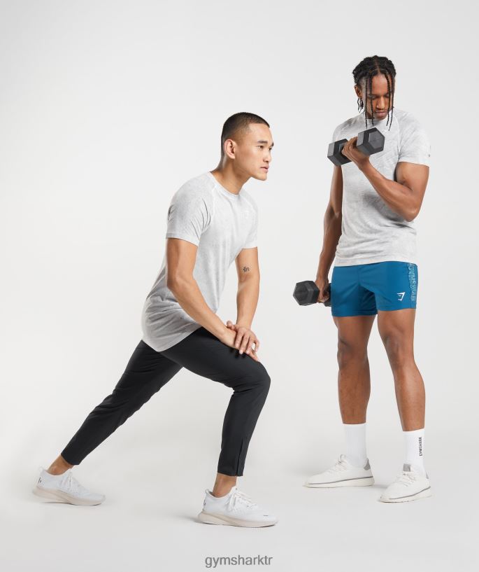 coğrafi dikişsiz tişört 8H4J02618 Gymshark Giyim erkekler kırık beyaz/açık gri