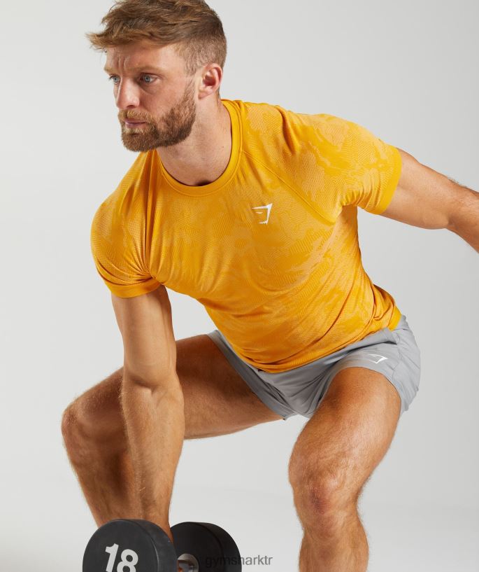 coğrafi dikişsiz tişört 8H4J02736 Gymshark Giyim erkekler güneşli sarı/beyaz
