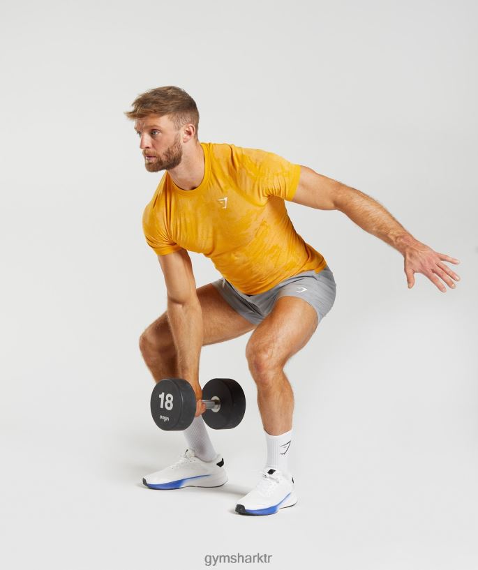 coğrafi dikişsiz tişört 8H4J02736 Gymshark Giyim erkekler güneşli sarı/beyaz