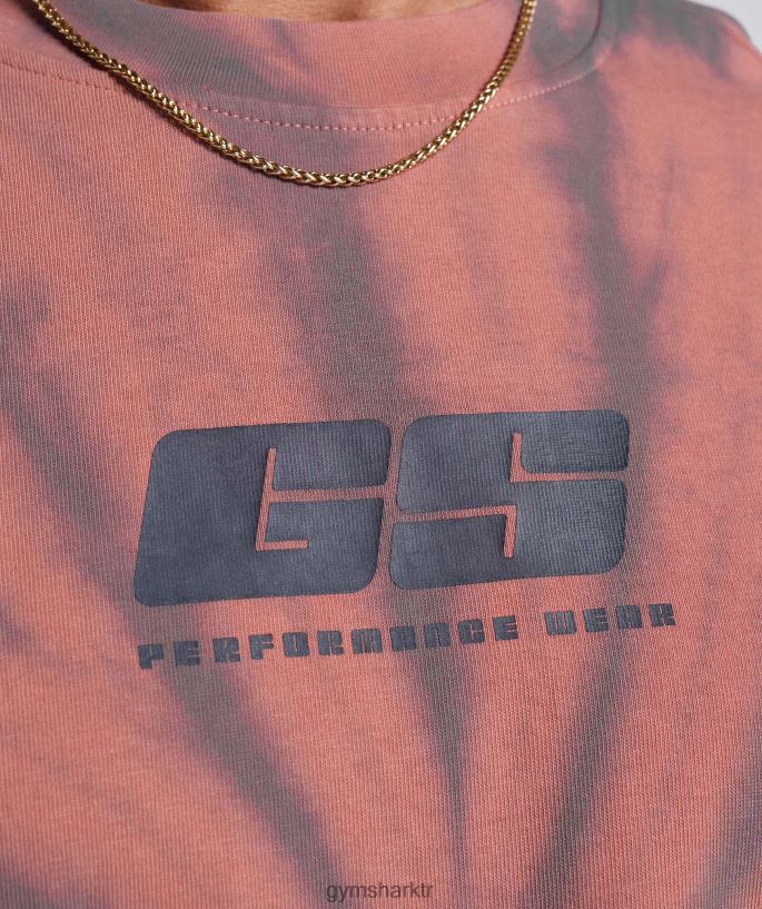 dinlenme günü tişörtü 8H4J02775 Gymshark Giyim erkekler pişmiş toprak pembe/tozlu bordo/spiral optik yıkama