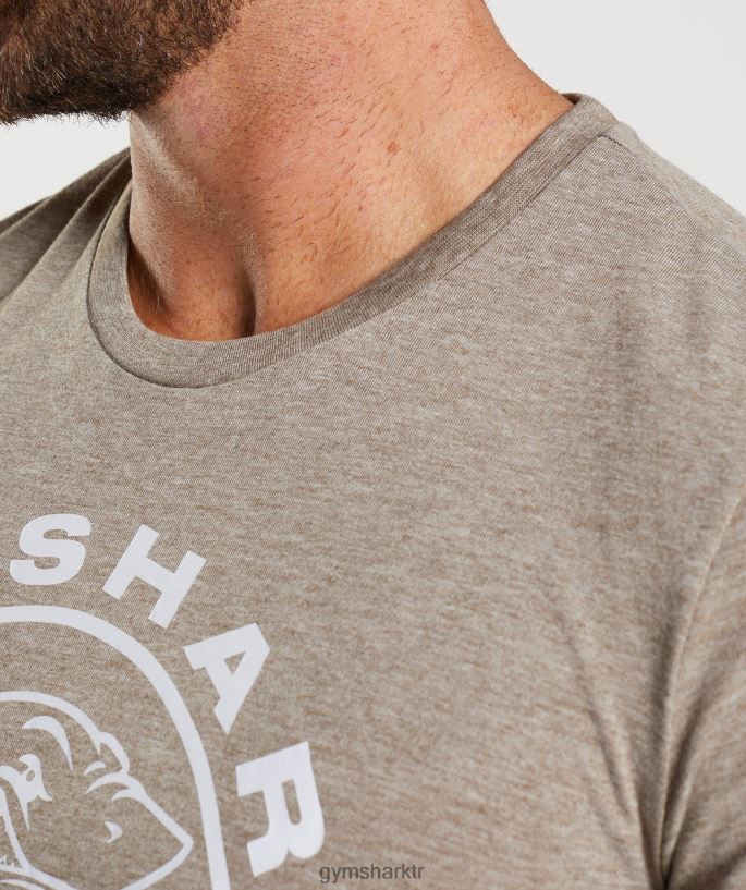 eski tişört 8H4J02693 Gymshark Giyim erkekler kireçtaşı marnı