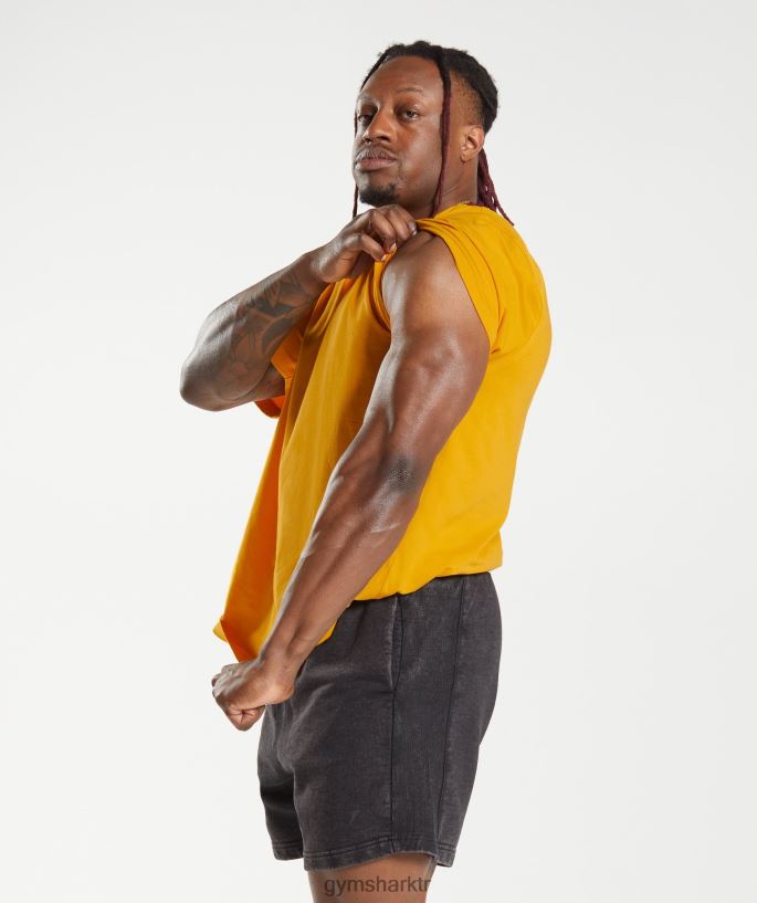 güç tişörtü 8H4J02593 Gymshark Giyim erkekler güneşli sarı