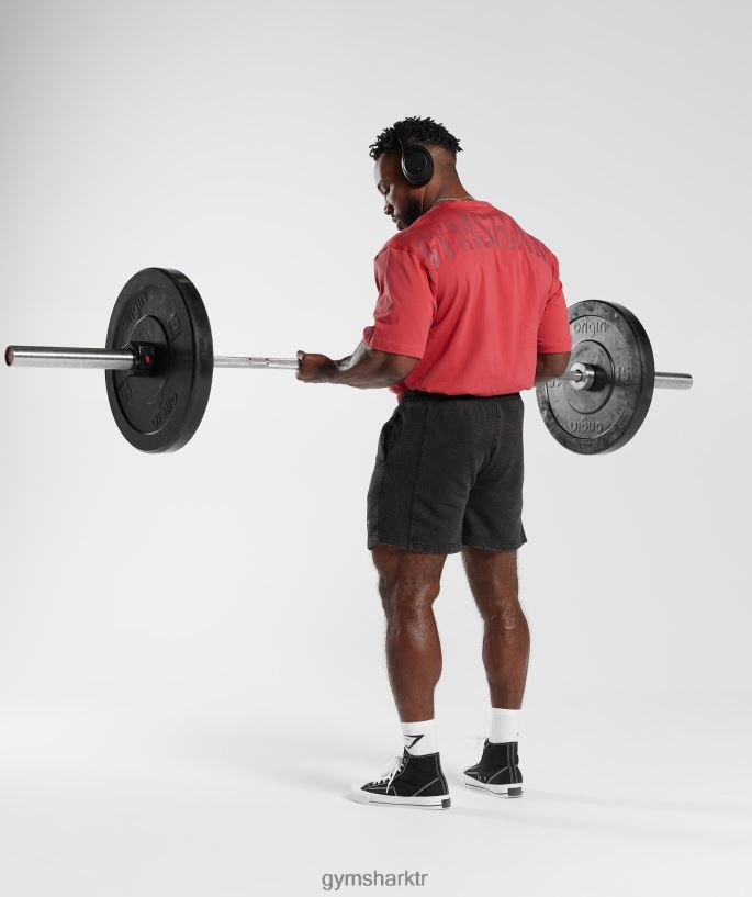 güç tişörtü 8H4J02602 Gymshark Giyim erkekler güneşte kurutulmuş kırmızı