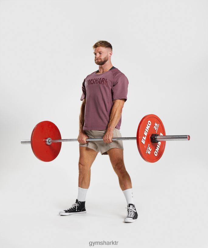 güç yıkanmış paçavra üst 8H4J02617 Gymshark Giyim erkekler kiraz kahvesi