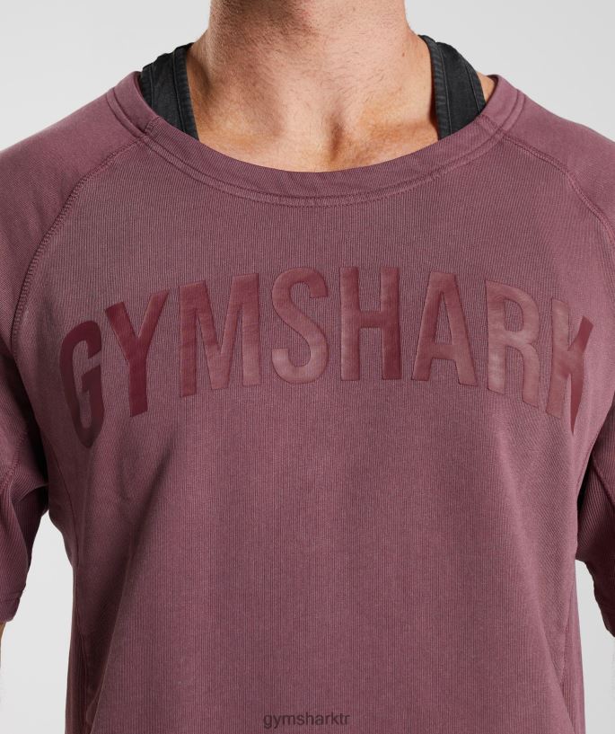 güç yıkanmış paçavra üst 8H4J02617 Gymshark Giyim erkekler kiraz kahvesi