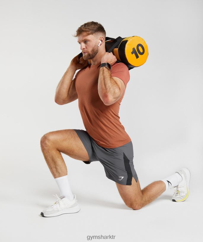 spor dikişsiz t-shirt 8H4J02721 Gymshark Giyim erkekler hurma kırmızısı/sıcak kahverengi