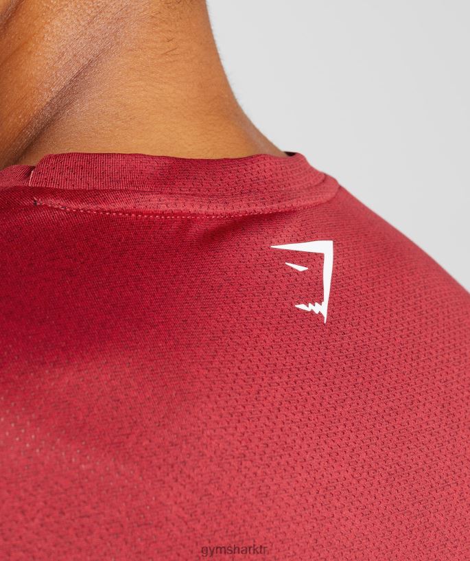 spor tişört 8H4J02725 Gymshark Giyim erkekler salsa kırmızısı/siyah kırçıllı