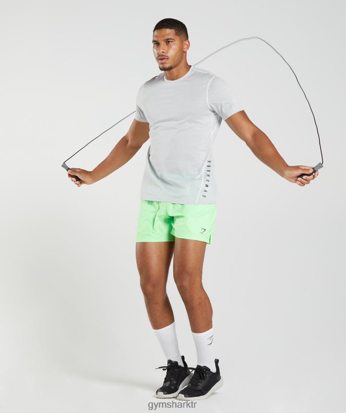 spor tişört 8H4J02756 Gymshark Giyim erkekler beyaz/dumanlı gri kırçıllı