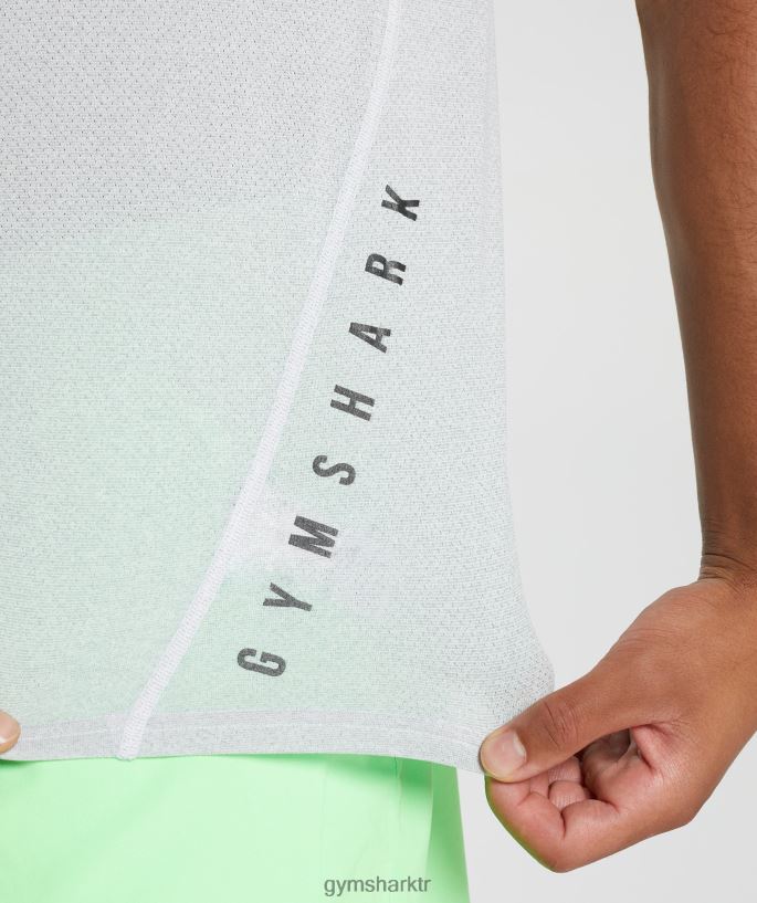 spor tişört 8H4J02756 Gymshark Giyim erkekler beyaz/dumanlı gri kırçıllı