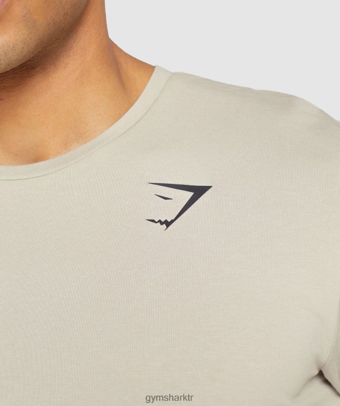 temel tişört 8H4J02758 Gymshark Giyim erkekler çakıl grisi