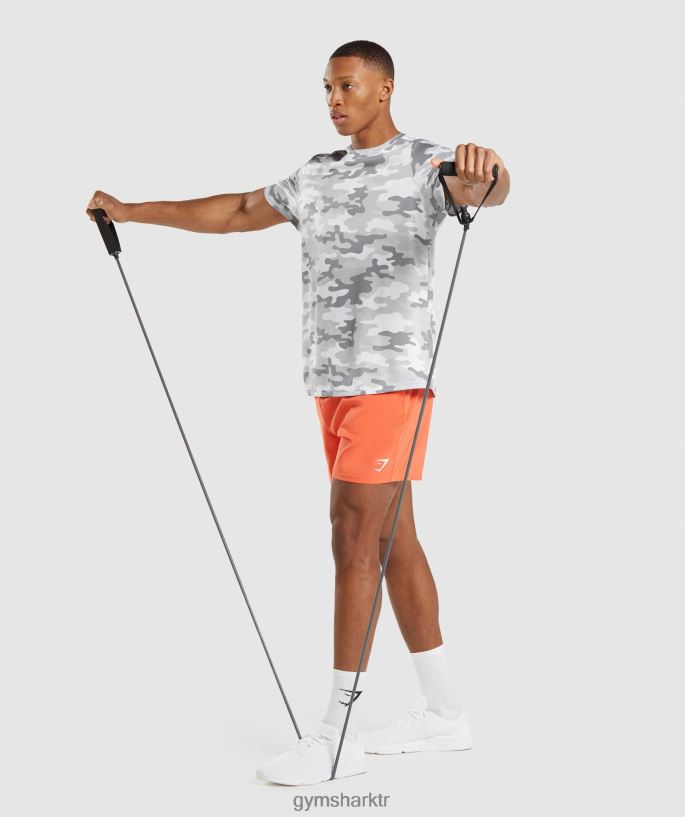 varış tişörtü 8H4J02724 Gymshark Giyim erkekler açık gri baskı