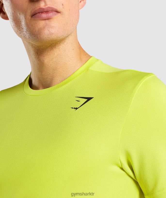 varış tişörtü 8H4J02738 Gymshark Giyim erkekler sarı