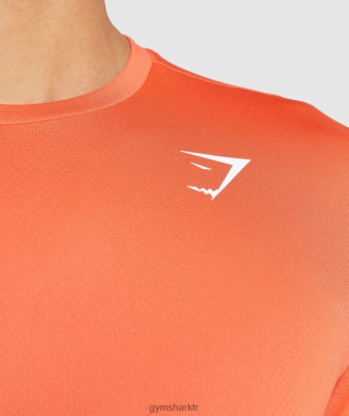varış tişörtü 8H4J02748 Gymshark Giyim erkekler papaya portakalı