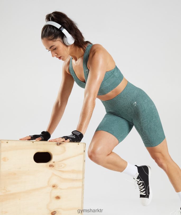 hayvan dikişsiz bisiklet şortu adapte 8H4J0254 Gymshark Giyim kadınlar buzdağı mavisi/gök gürültüsü mavisi