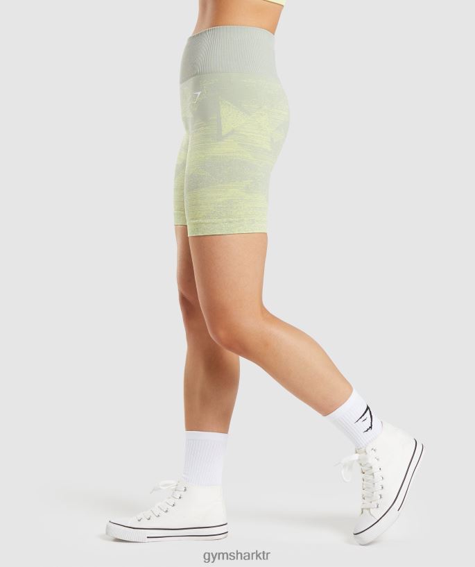 ombre dikişsiz şortları uyarla 8H4J0287 Gymshark Giyim kadınlar üçgen | boz gri baskı