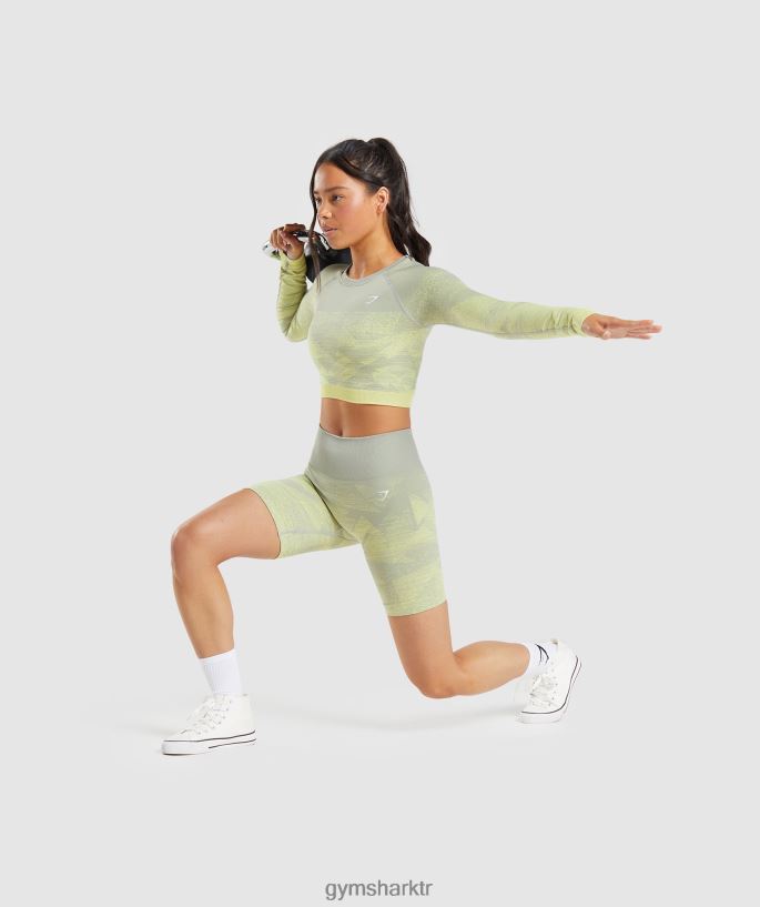 ombre dikişsiz şortları uyarla 8H4J0287 Gymshark Giyim kadınlar üçgen | boz gri baskı