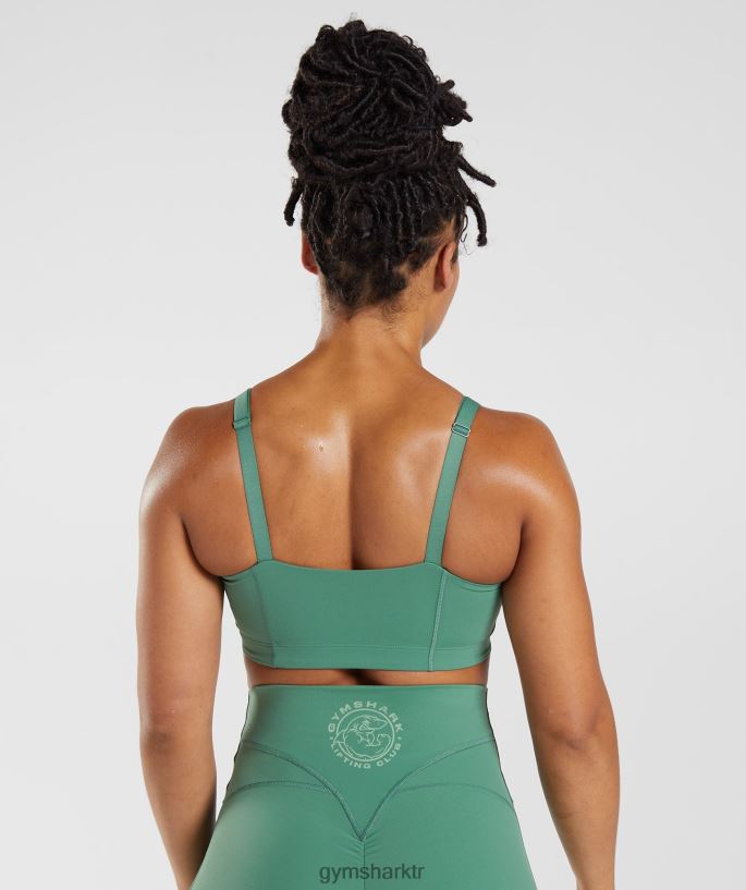 eski spor sutyeni 8H4J02174 Gymshark Giyim kadınlar Hoya yeşili