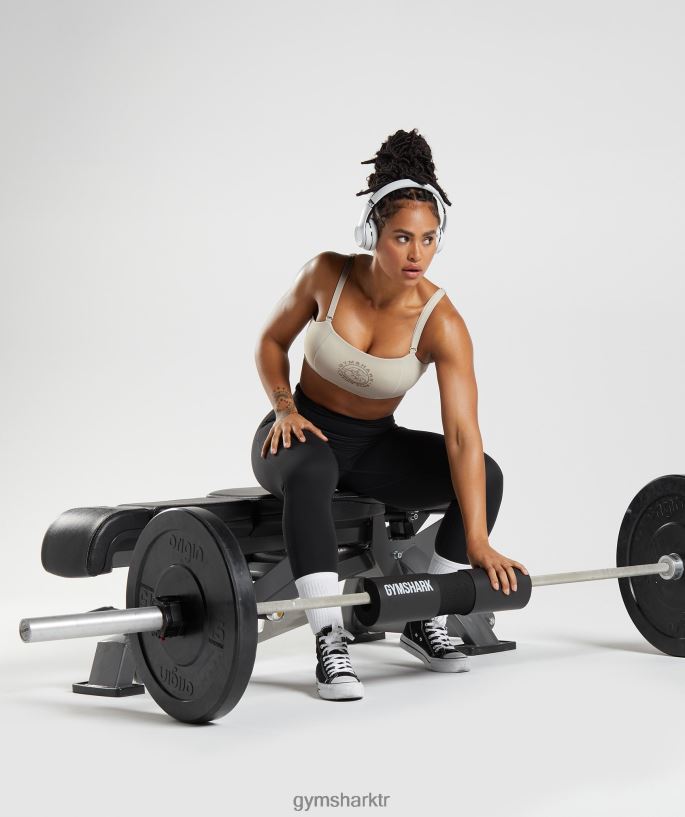 eski spor sutyeni 8H4J02204 Gymshark Giyim kadınlar çakıl grisi