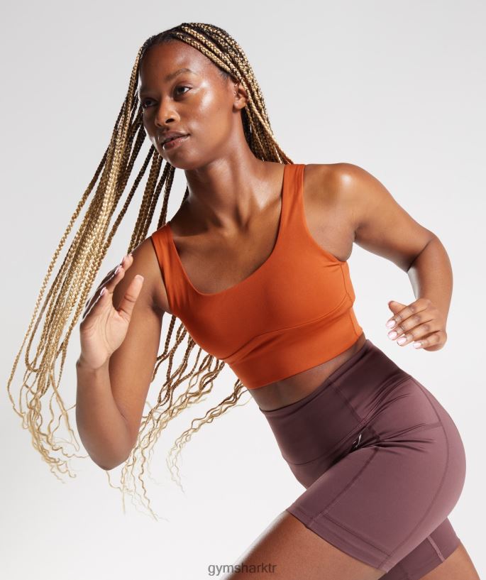uzun çizgi spor sutyeni 8H4J02142 Gymshark Giyim kadınlar tuğla kırmızısı