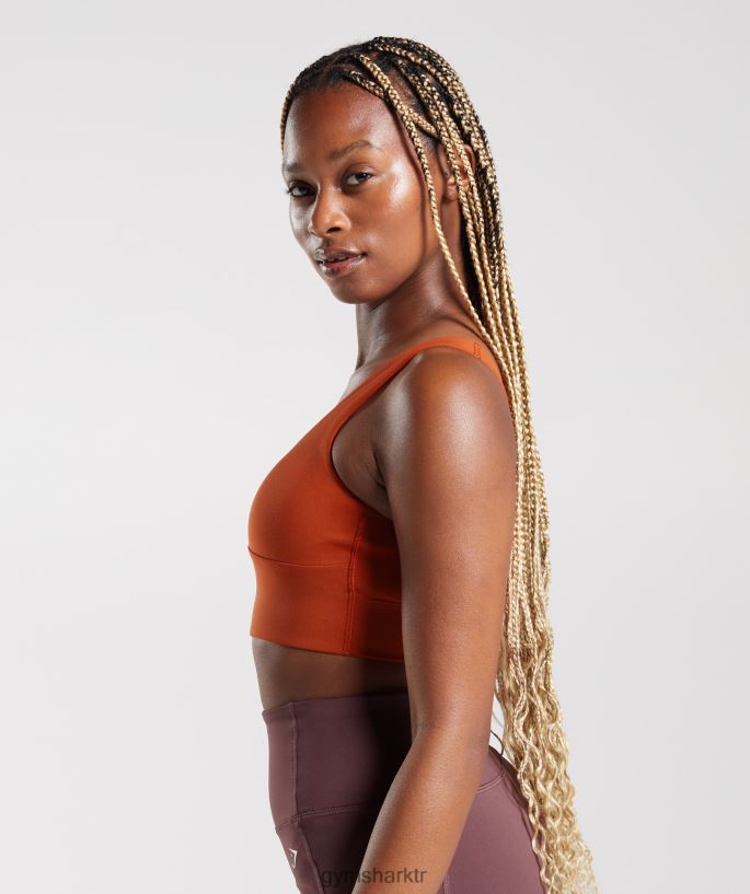 uzun çizgi spor sutyeni 8H4J02142 Gymshark Giyim kadınlar tuğla kırmızısı