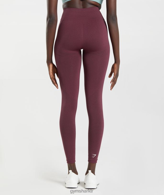 hayati dikişsiz 2.0 tayt 8H4J02335 Gymshark Giyim kadınlar pişmiş bordo marn