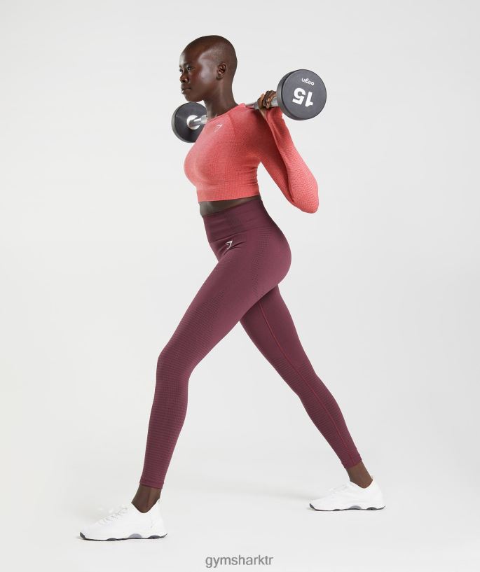 hayati dikişsiz 2.0 tayt 8H4J02335 Gymshark Giyim kadınlar pişmiş bordo marn