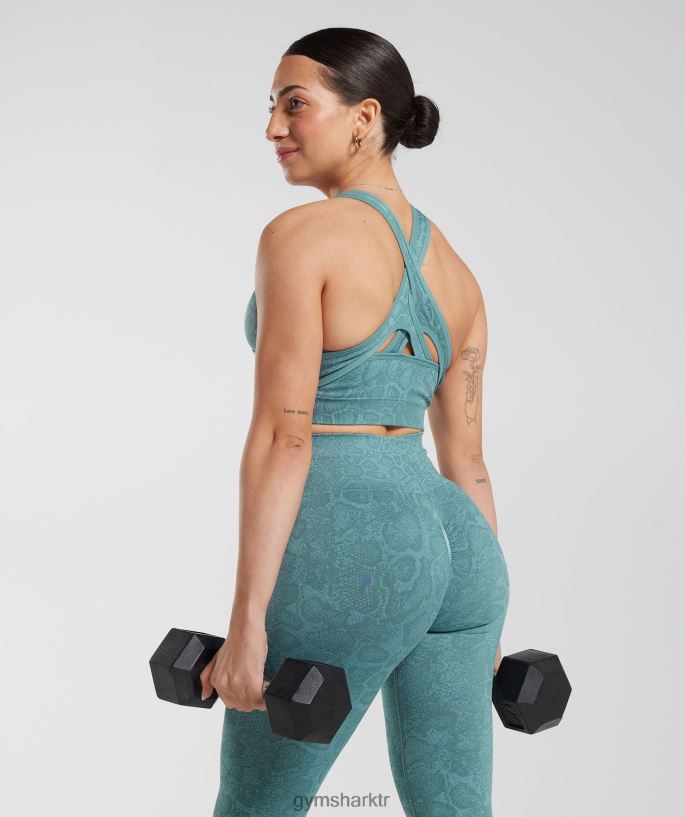 hayvan dikişsiz tayt 8H4J02253 Gymshark Giyim kadınlar buzdağı mavisi/gök gürültüsü mavisi