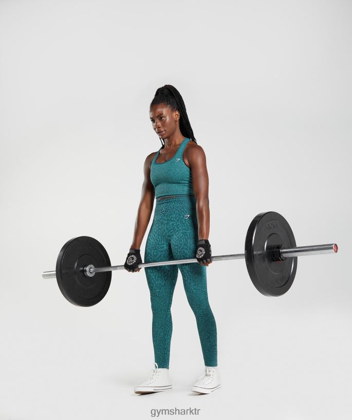 hayvan dikişsiz tayt 8H4J02292 Gymshark Giyim kadınlar resif | kış deniz mavisi