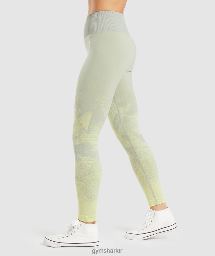 ombre dikişsiz taytları uyarlayın 8H4J02312 Gymshark Giyim kadınlar üçgen | boz gri baskı