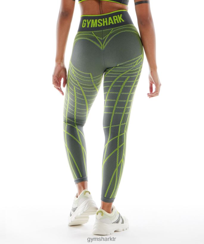 wtflex lineer dikişsiz tayt 8H4J02323 Gymshark Giyim kadınlar kömür grisi/fluo yeşil/ açık gri