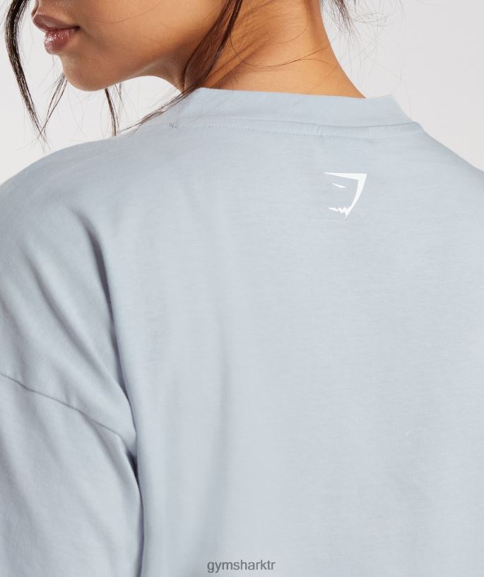 işlemeli grafik midi tişört 8H4J02486 Gymshark Giyim kadınlar nehir taşı grisi