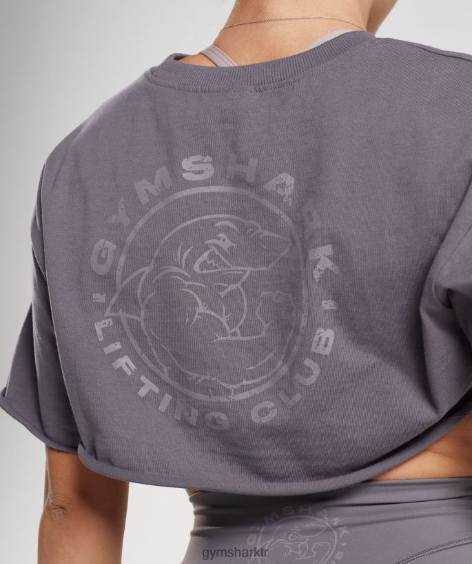 eski omuz silkme üst 8H4J02494 Gymshark Giyim kadınlar titanyum grisi