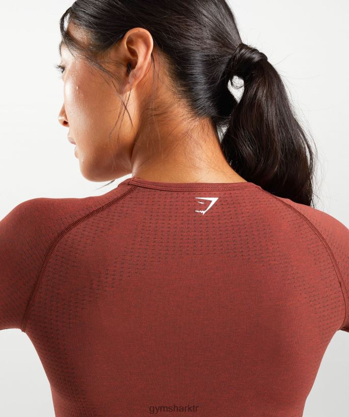 vital dikişsiz 2.0 kısa üst 8H4J02460 Gymshark Giyim kadınlar kiremit kırmızısı marn